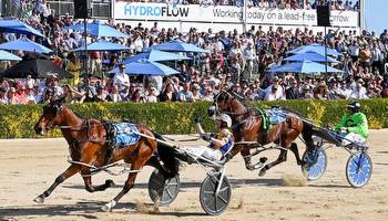 Horse Racing: Australian raider Swayzee captures rare NZ Trotting Cup victory at Addington