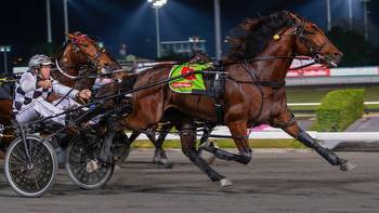 Horse racing: Australian star has NZ Cup aspirations