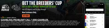 Horse racing best bets for the Breeders' Cup