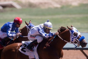 Horse Racing Best Bets from Tampa Bay Downs