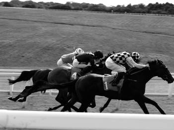 Horse racing betting tips for August 2023