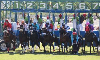 Horse Racing Betting Tips Today