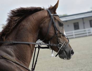 Horse Racing Calendar Heats up in March