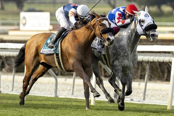 Horse racing: Dreams of Kentucky Derby, Dubai World Cup kept alive