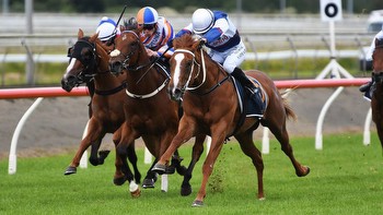 Horse racing: Ellerslie track visit could boost Velocious hopes