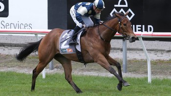 Horse racing: Exciting field is expected for Te Rapa flat feature