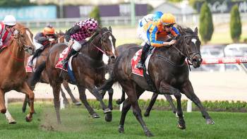 Horse racing: Five races in New Zealand not to miss this weekend