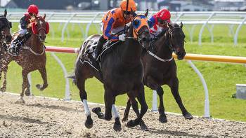 Horse racing: Flurry of phone calls impact Tauranga punters