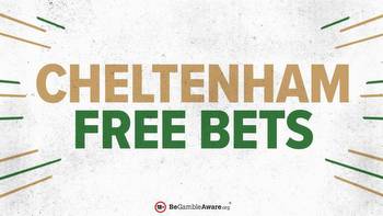 Horse racing free bets and offers for Cheltenham's November meeting