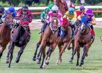 Horse racing: Full fields set for Louisiana Cup Day on Saturday at Louisiana Downs