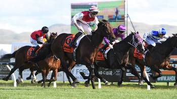 Horse racing: Golden Eagle will tap into Kiwis emotions as Legarto takes on stars from Australia, Europe and even Japan