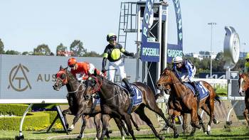 Horse racing: I Wish I Win flying Kiwi flag at Randwick