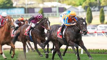 Horse racing: Imperatriz stuns Aussie punters
