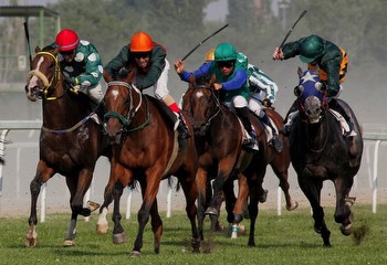 Horse Racing In Yorkshire