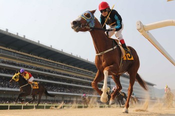 Horse Racing: Inside the world of South Korean horse racing