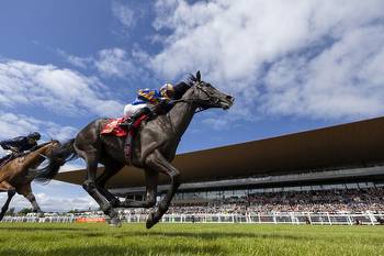 Horse Racing Ireland reports increase in numbers of racegoers and betting turnover