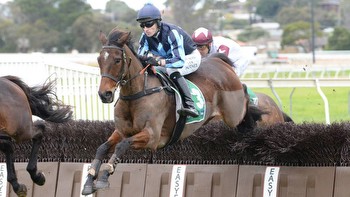 Horse racing: Kiwi-breds dominate Warrnambool jumping features