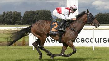 Horse racing: Ladies Man Cup gamble pays off