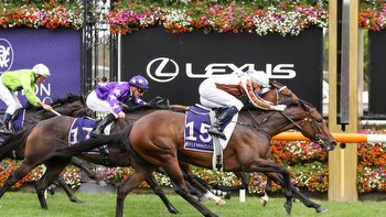 Horse racing: Legarto glamour star at Ellerslie