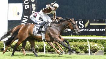 Horse racing: Levante on another level