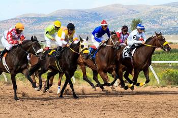 Horse Racing Live Stream Options in the UK