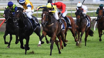 Horse racing: Molly Bloom may farewell New Zealand start at Te Rapa