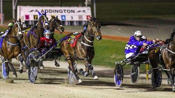 Horse Racing: New Zealand's first slot race confirmed for Cambridge