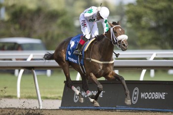 Horse Racing North America: Moira Favored in Queen’s Plate