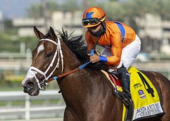 Horse racing notes: C Z Rocket retired at age 10
