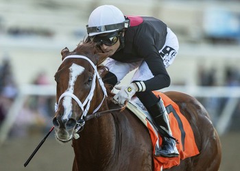 Horse racing notes: Cal-bred champ faces challenge