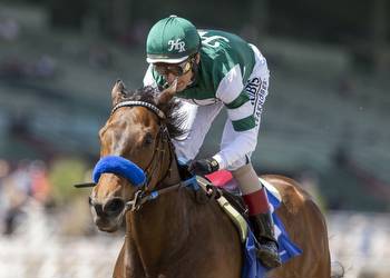 Horse racing notes: Hronis Racing knows Edgeway is a special mare