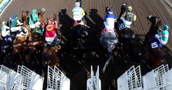 Horse racing notes: Mother Nature makes Santa Anita a safe bet for Breeders’ Cup
