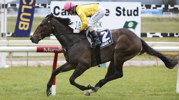 Horse Racing: Persistence pays off for Wells