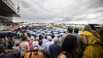 Horse racing: Picking a winner for each race at New Zealand Trotting Cup day