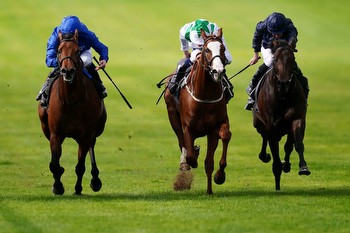 Horse Racing Picks and Odds for Breeders' Stakes