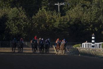 Horse Racing picks for Parx race track on Tuesday, October 4