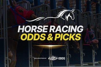 Horse Racing Picks: Remsen Stakes Predictions Odds & Preview (Dec 3)