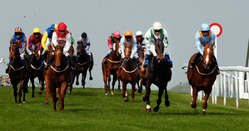 Horse Racing Picks, Tips & Best Bets Today
