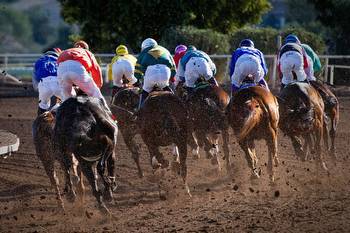 Horse Racing Picks: UK & Ireland 🐎 Best Bets & Dark Horse (Dec 26)