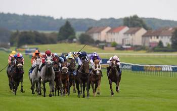 Horse racing predictions: Ayr and Newbury