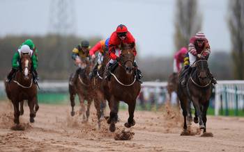 Horse racing predictions: Chelmsford and Southwell