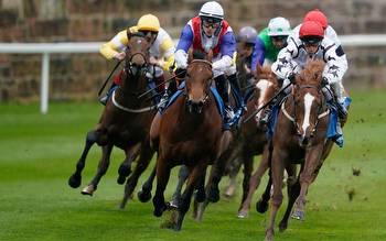 Horse racing predictions: Chester and Newton Abbot