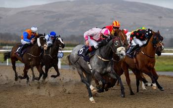 Horse racing predictions: Lingfield, Dundalk and Wolverhampton