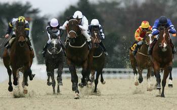 Horse racing predictions: Listowel, Goodwood and Kempton