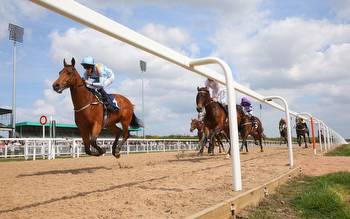 Horse racing predictions: Roscommon, Hamilton and Newcastle