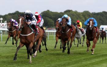 Horse racing predictions: Sandown, Haydock and Leicester