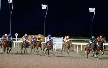 Horse racing predictions: Warwick, Wolverhampton and Chelmsford