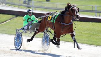 Horse racing: Purdon’s galloper on debut at weekend