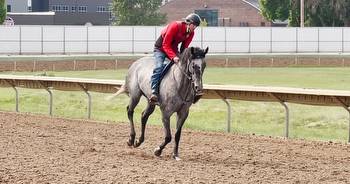 Horse racing returns to Montana ExpoPark