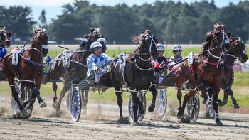 Horse racing: Sooner The Bettor gives Purdon-Phelan team a double